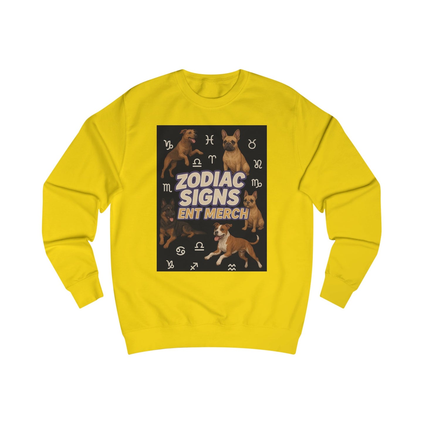 Capricorn Zodiac Unisex Sweatshirt, Astrology Gift, Birthday Sweatshirt, Astrology Apparel, Zodiac Sign Clothing, Unique Layering Piece
