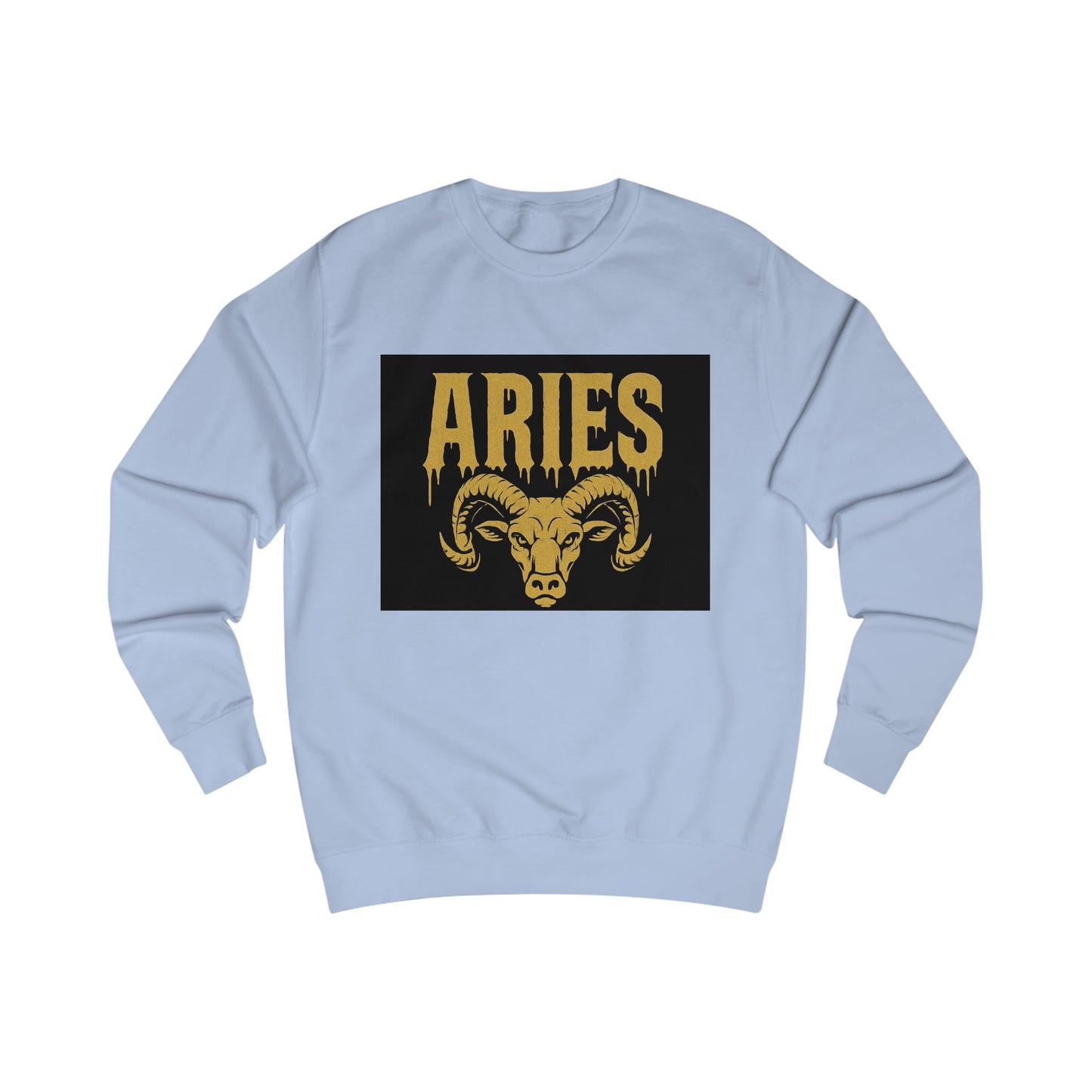 Capricorn Zodiac Unisex Sweatshirt, Astrology Gift, Birthday Sweatshirt, Astrology Apparel, Zodiac Sign Clothing, Unique Layering Piece