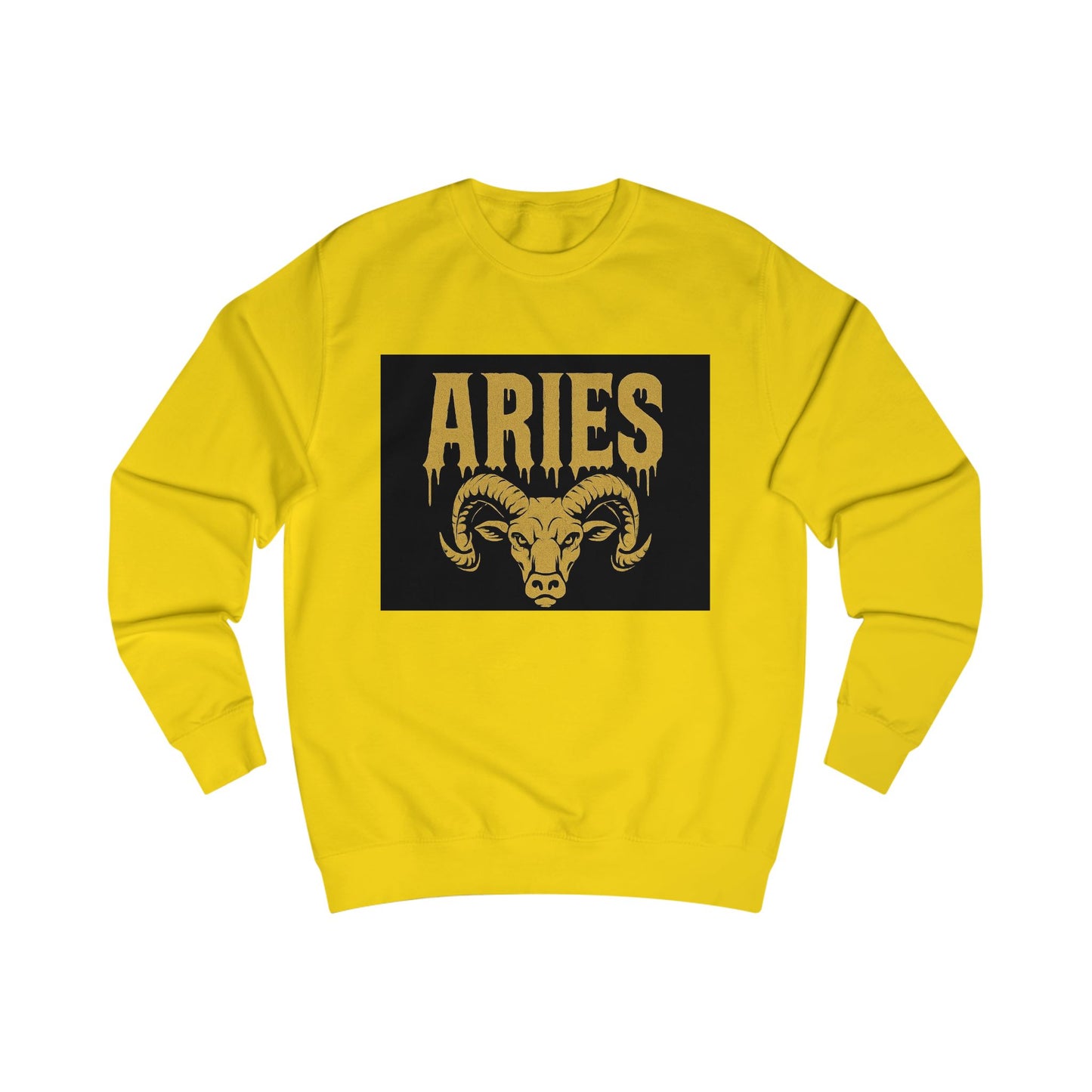 Capricorn Zodiac Unisex Sweatshirt, Astrology Gift, Birthday Sweatshirt, Astrology Apparel, Zodiac Sign Clothing, Unique Layering Piece