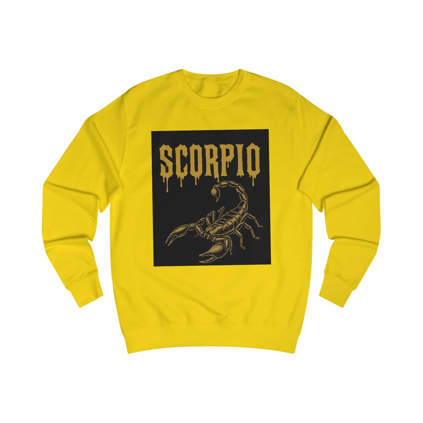 Capricorn Zodiac Unisex Sweatshirt, Astrology Gift, Birthday Sweatshirt, Astrology Apparel, Zodiac Sign Clothing, Unique Layering Piece