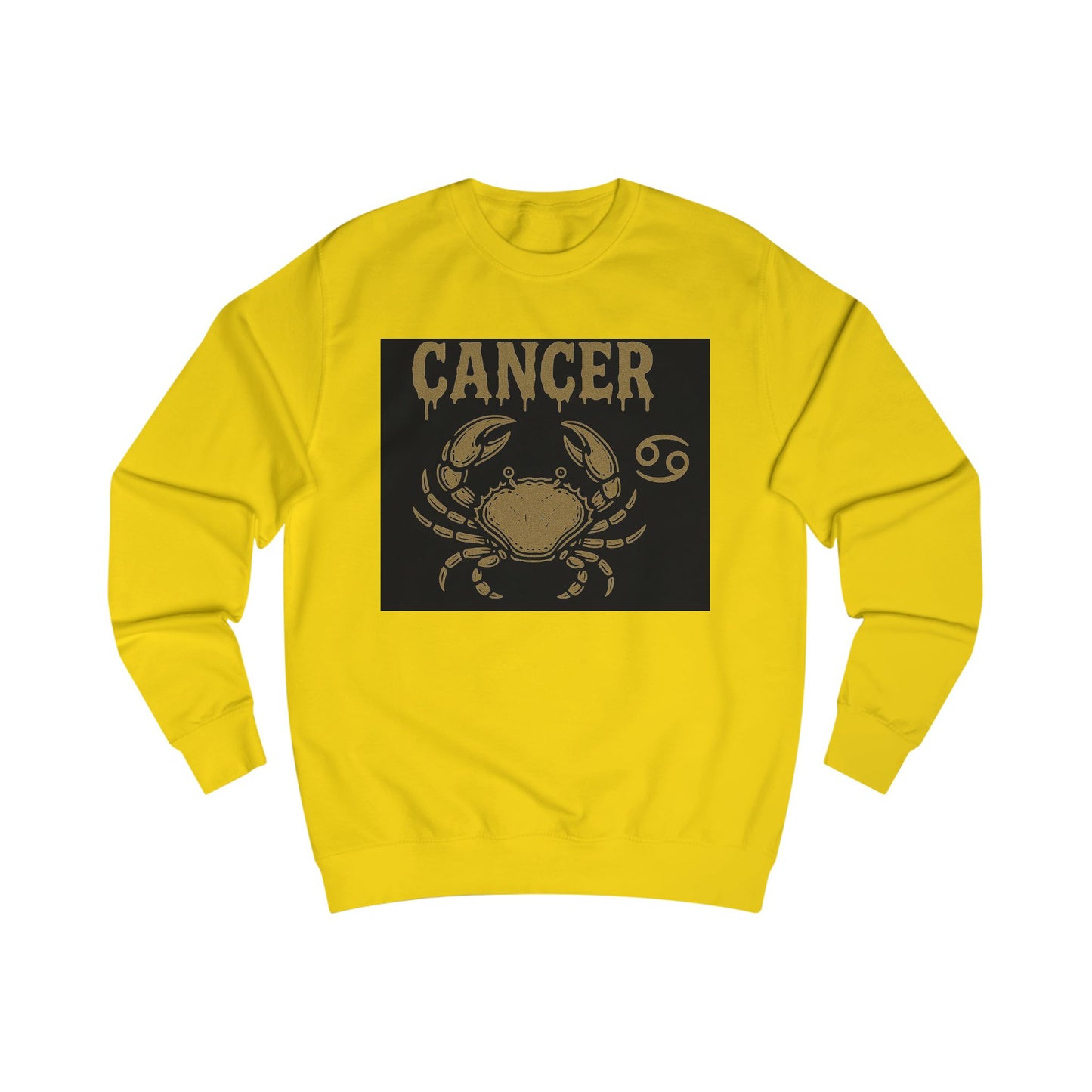 Cancer Zodiac Unisex Sweatshirt, Astrology Gift, Birthday Sweatshirt, Astrology Apparel, Zodiac Sign Clothing, Unique Layering Piece