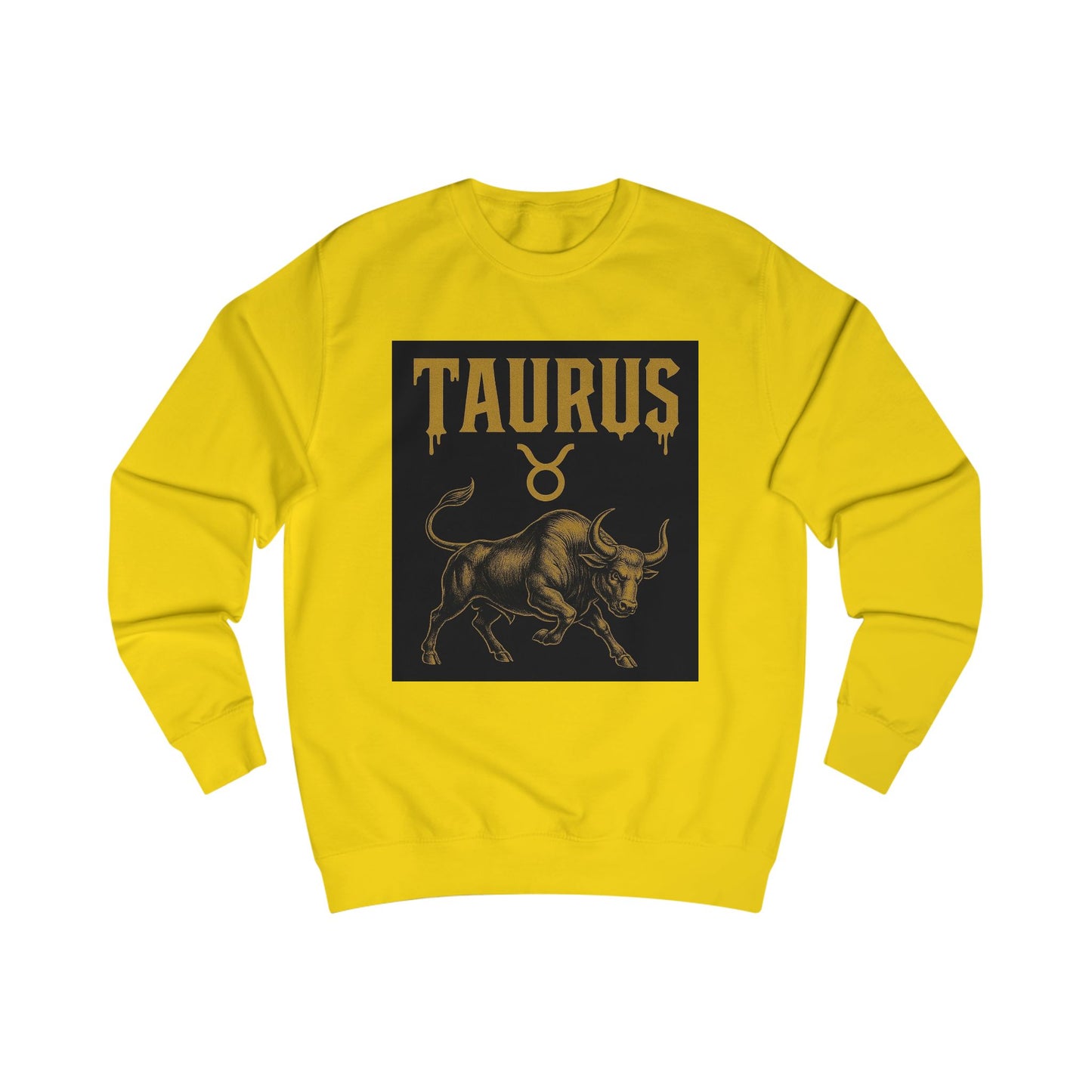 Capricorn Zodiac Unisex Sweatshirt, Astrology Gift, Birthday Sweatshirt, Astrology Apparel, Zodiac Sign Clothing, Unique Layering Piece