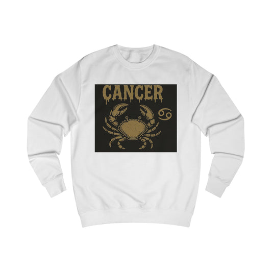 Cancer Zodiac Unisex Sweatshirt, Astrology Gift, Birthday Sweatshirt, Astrology Apparel, Zodiac Sign Clothing, Unique Layering Piece