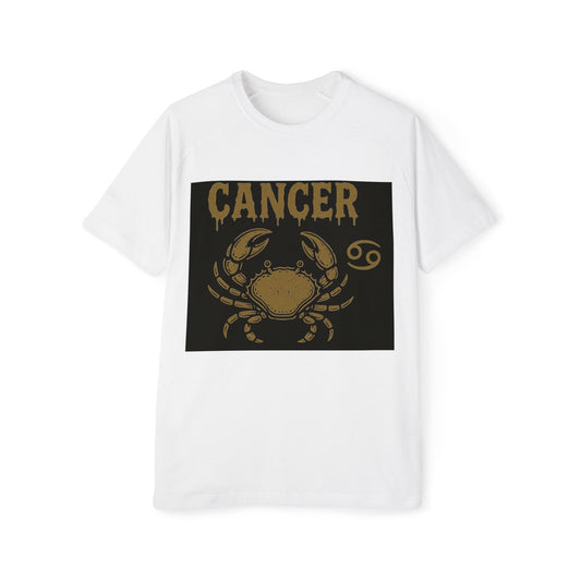 Cancer Sign Men's Raglan T-Shirt, Astrology Tee, Horoscope Apparel, Gift for Astrology Lovers, Star Sign Shirt
