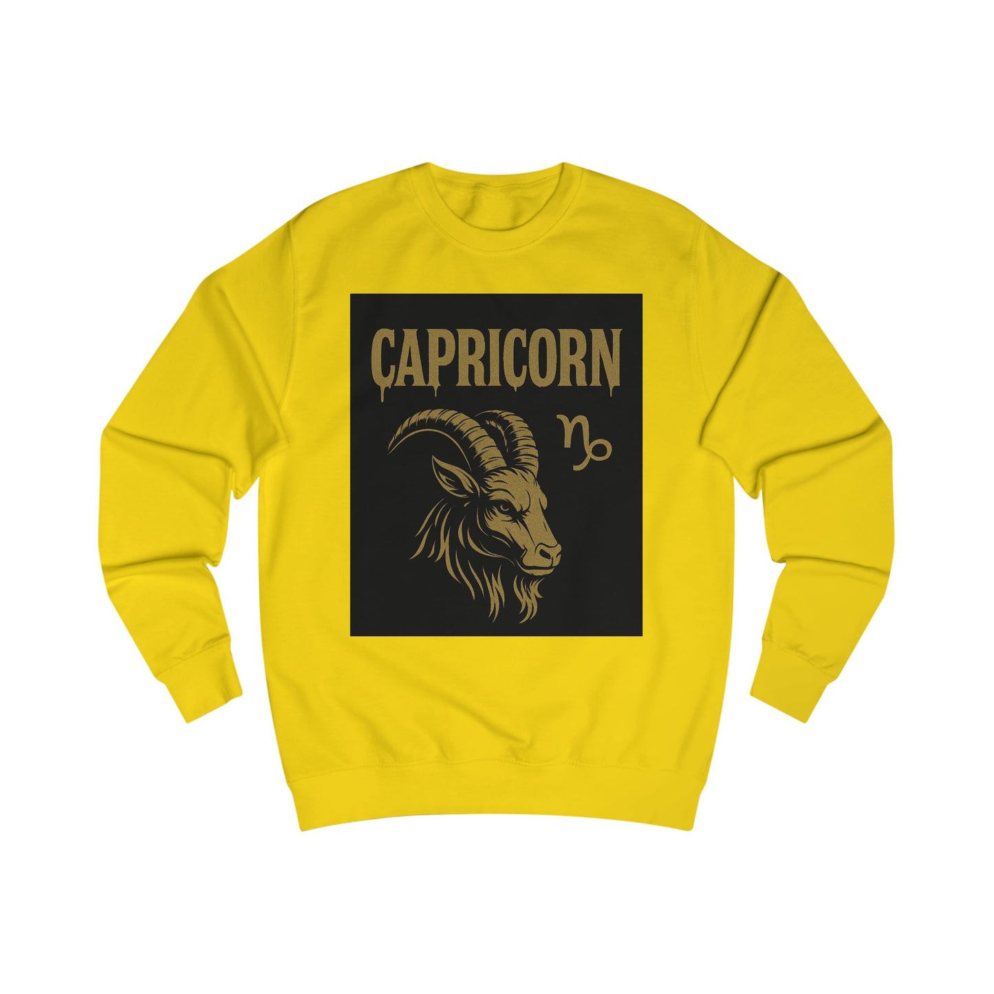 Capricorn Zodiac Unisex Sweatshirt, Astrology Gift, Birthday Sweatshirt, Astrology Apparel, Zodiac Sign Clothing, Unique Layering Piece